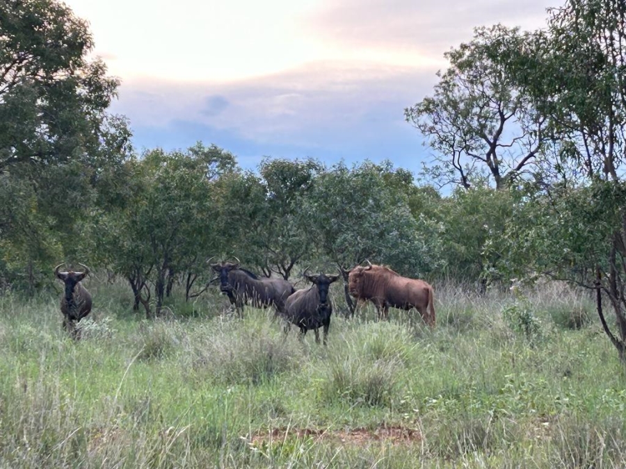 Commercial Property for Sale in Swartruggens North West